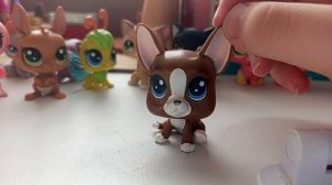 распаковка новых LPS + обзор на всех моих LPS + обзор на мои локации 💯😊😊👍✨