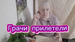 06. 03. 26  #mukbangtatyanaeats #мукбанг #перекус дегустация колбасы