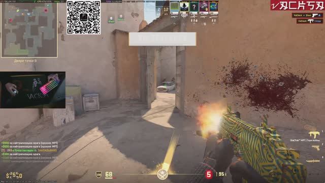 Counter-Strike 2 с подписчиком