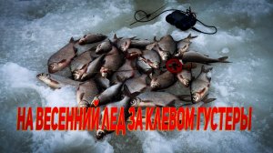 На весенний лед за клевом. Вложик с безмотылкой 2