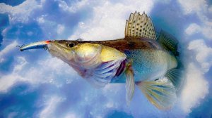 В поисках судака на реке Чусовая.