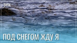 Забайкальские клещи в предвкушении оттепели