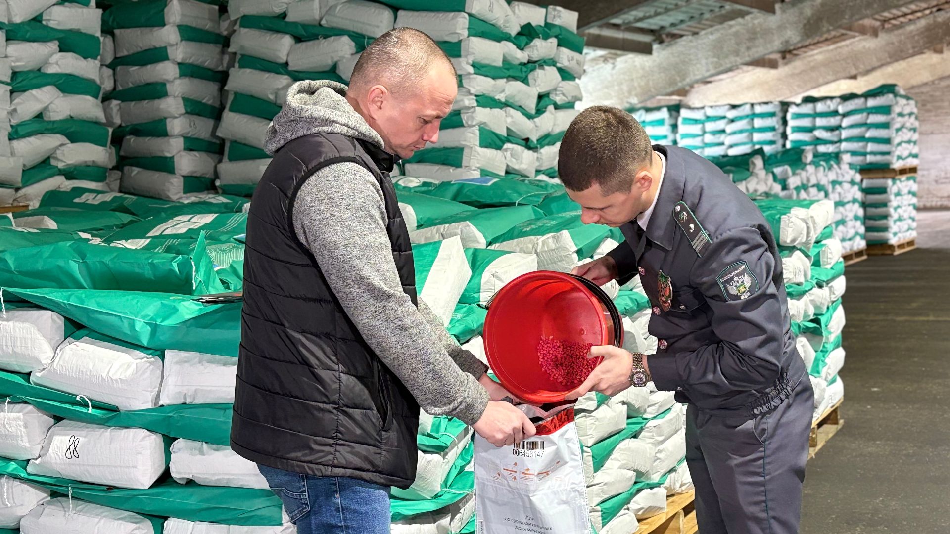 На Кубани началась масштабная посевная