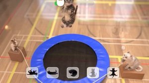 Милые Котики： Приключения Маленького Котёнка 💚 Весёлые мультики про уход за питомцами и самые лучши