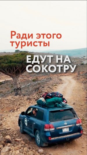 Ради ЭТОГО туристы едут на Сокотру