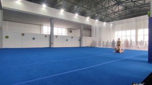 ЖП 3 спортивный разряд, Кощеева Ксения - Шонгина Ксения, МАУДО ДТДиМ, Балансовое упражнение