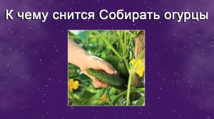 К чему снится Собирать огурцы - толкование сна