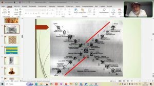 Исследователь Валерий Кондратов. Тема: «Ткань Мироздания: Метафизический синтез науки и духа»