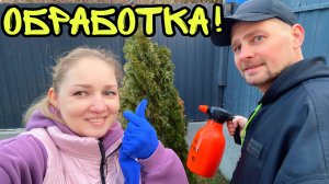 Влог! Вестники весны! Ремонт обуви! Бизнес на колесах! Весенняя обработка!