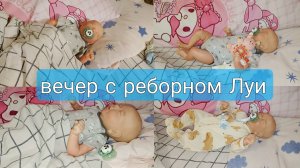 вечер с реборном Луи