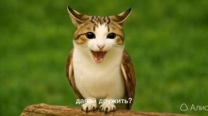 мяувал^^ (видео для подруги)