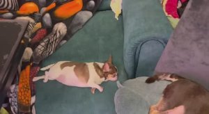 Всем самого доброго вечера и спокойной ночи.