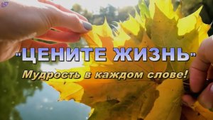 🎸🎶🥀"ЦЕНИТЕ ЖИЗНЬ"💐Мудрость в каждом слове!🌹💖/ВЫ Должны ЕЁ Услышать/.The Natural World /Bayern
