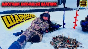 Самый бюджетный Платник ❗ Ловля Окуня на блесну в Марте ❗