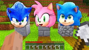 ЧТО ПРОИСХОДИТ С СЕМЬЁЙ СОНИКА НА КЛАДБИЩЕ В МАЙНКРАФТЕ