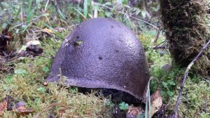 Коп по войне. Фильм 63. Военная археология. Поиск бойцов.