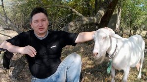 Надежда на Бога