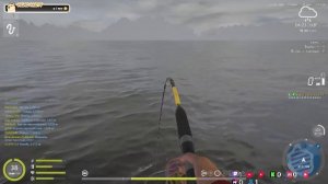 Русская рыбалка 4🎣🎏🦈ВСЕМ ПРИВЕТ И УДАЧНОГО КЛЁВА!!!!!!!!!!!