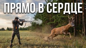 охота на косулю. точный высрел в загоне