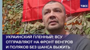 Украинский пленный: ВСУ отправляют на фронт венгров и поляков без шанса выжить