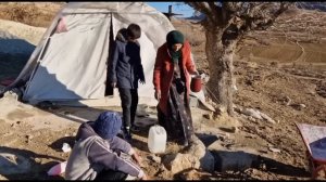 229ч.Выживание в холодных горах: несокрушимый дух кочевой семьи