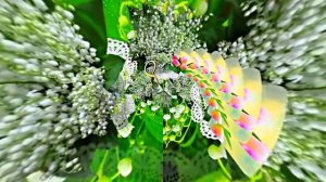 С 8 Марта Поздравление 2 от Киностудии Мудрого Кота Тимофея!