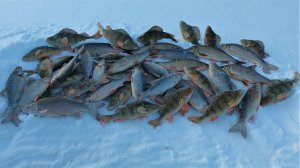 ЗИМНЯЯ РЫБАЛКА В ЭТО ЖЕ ВРЕМЯ НО ЧЕТЫРЕ ГОДА НАЗАД)! ЕТЫ-ПУР ДАЖЕ В ГЛУХОЗИМЬЕ ПОРАДУЕТ КЛЁВОМ)!