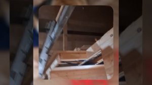 1000050591.mp4 (Собака наблюдает за устройством лестницы на 2-ой этаж в доме А-фрейм)