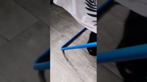 Вопрос ответ с угольком