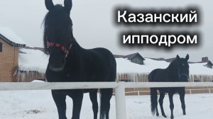 Казанский ипподром