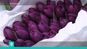 Новости Владимира и Владимирской области за 6 марта 2026 года. Вечерний выпуск