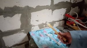 312. Пока электрику крутили, парад пропустили. Гортензия проснулась.