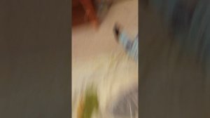 видео с писклюиком 3 часть.