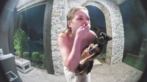 Когда соседи готовы прийти на помощь, подборка.