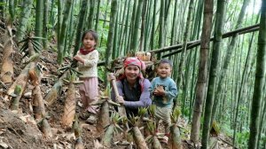 Собираю побеги бамбука для продажи с двумя моими маленькими детьми. Ухаживаю за поросятами. Дуонг