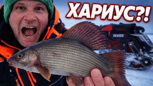 Хариус на озере! Ехали за окунем на мотобуксировщике а нашли хариуса! Рыбалка в Карелии на Ikudzo
