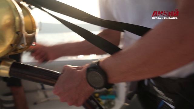 Турция. Тунцы на прикормке. Мировая рыбалка.