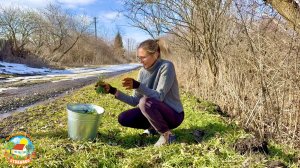 Такого ещё не было в январе! Шпаклюем потолок и стены в новом доме.