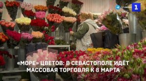 «Море» цветов: в Севастополе идёт массовая торговля к 8 Марта