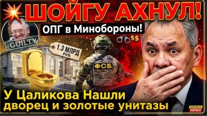 💥ШОЙГУ АХНУЛ! ОПГ в Минобороны! У Цаликова Нашли дворец за 1.3 миллиарда и золотые унитазы