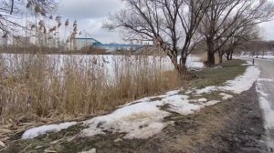 Променад с общением 06.03.26.