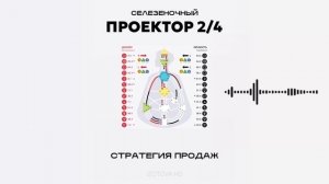 Спонтанный проектор 2/4 дизайн человека селезеночный авторитет