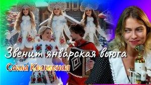 Звенит январская вьюга. (Саша Квашеная)