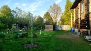 35-Дача.улитки начинают вылезать..собираемся домой😉03.06.22