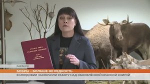 В Мордовии закончили работу над обновлённой Красной книгой