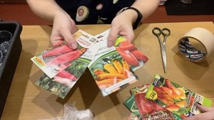 2 марта. ПОСАДКА ПЕРЦА, БАКЛАЖАН на РАССАДУ.