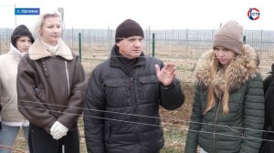 Студенты СевГУ осваивают обрезку и подвязку виноградной лозы