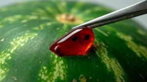 ДАВИМ ПРЫЩИ ИЗ АРБУЗОВ И ФРУКТОВ АСМР! УДОВЛВЕТВОРЕНИЯ ОТ ВЫДАВЛЕНИЯ БОРОДАВОК Я В ШКОЕ РЕАКЦИЯ