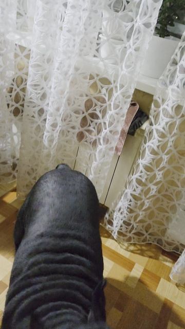 Милая принцесса