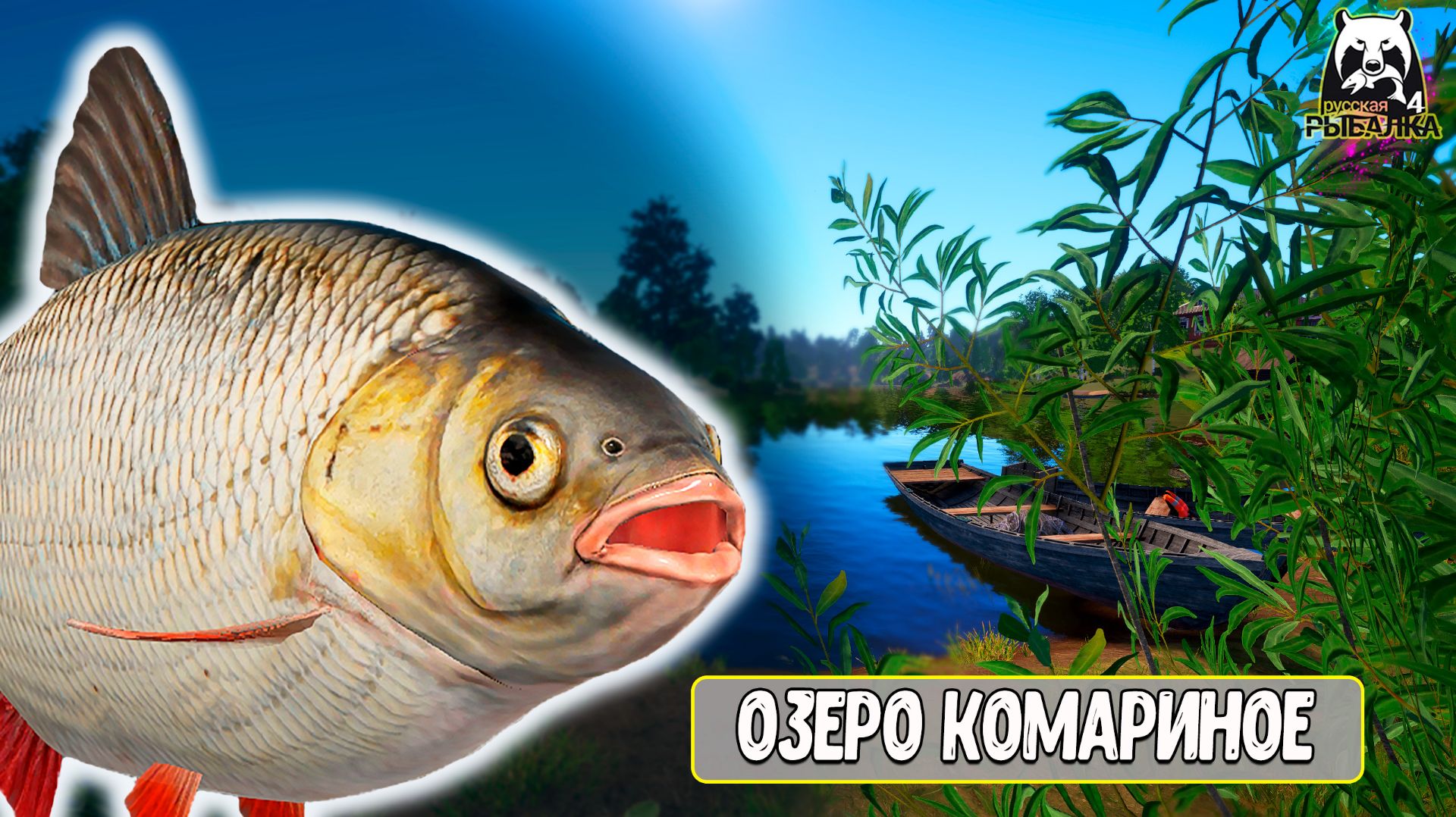 RF4 Успей пока ловится выловить их #рр4